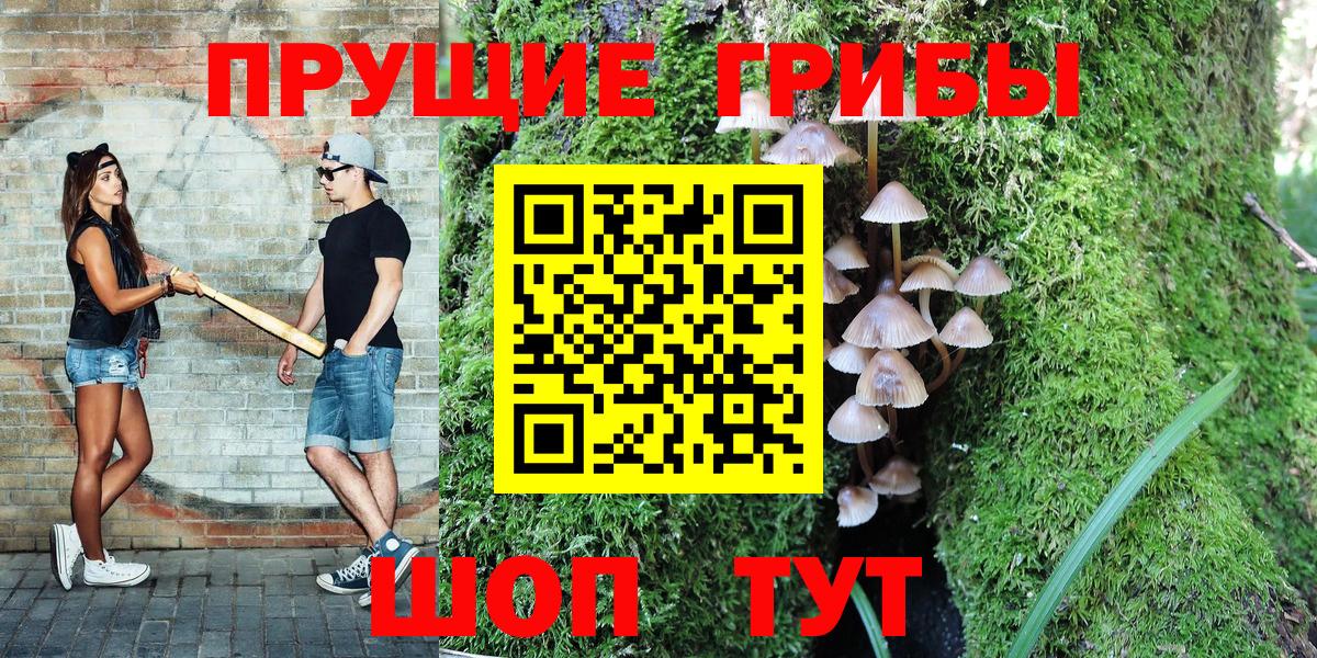 Псилоцибиновые грибы Magic Shrooms  Вход с VPN  Псилоцибиновые грибы мицелий  Беслан 